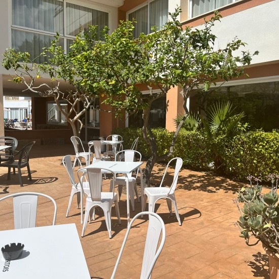 Terraza Bar
